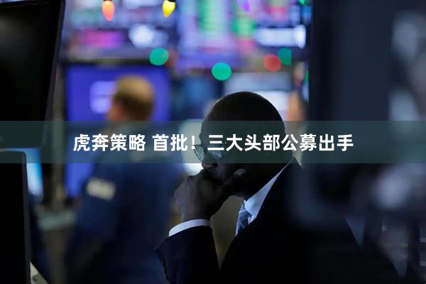 虎奔策略 首批！三大头部公募出手