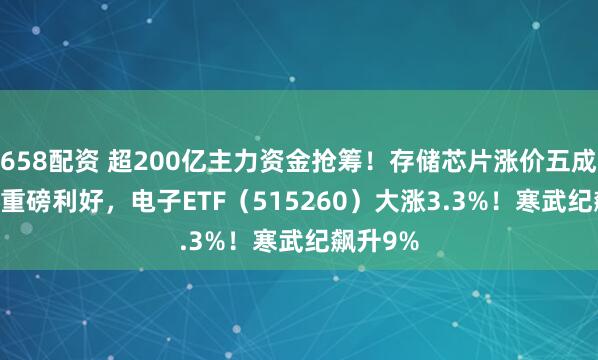 658配资 超200亿主力资金抢筹！存储芯片涨价五成+ AMD重磅利好，电子ETF（515260）大涨3.3%！寒武纪飙升9%